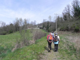 In salita verso la Chiesa dei SS. Pietro e Paolo in Pessano a Bollengo (31618 bytes)